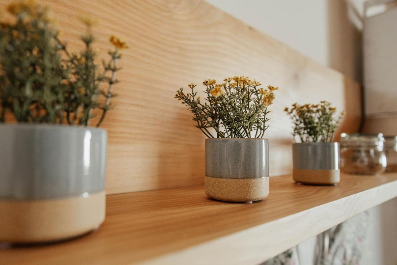 La Cocca Home Bellinzago Novarese エクステリア 写真