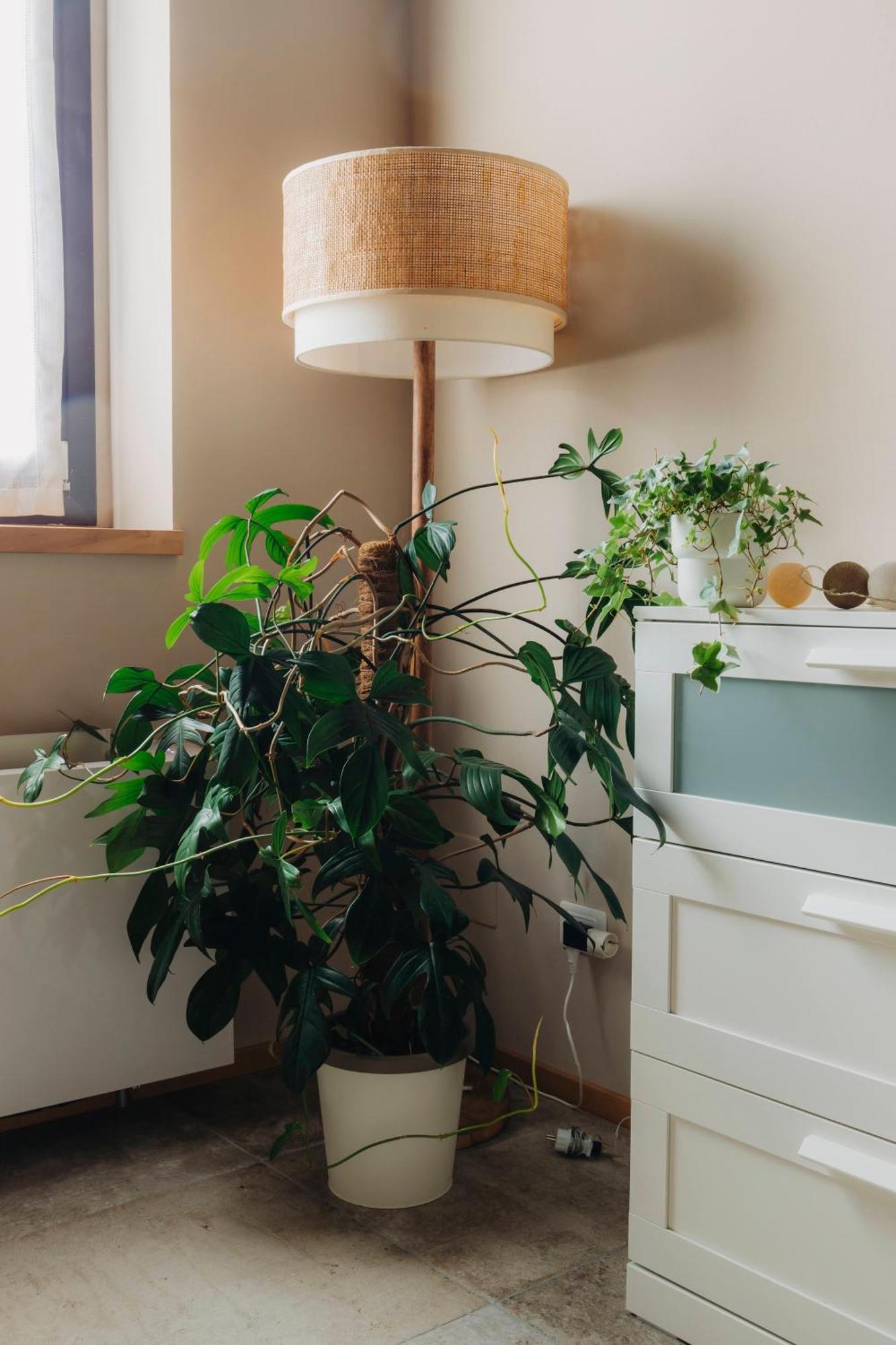 La Cocca Home Bellinzago Novarese エクステリア 写真